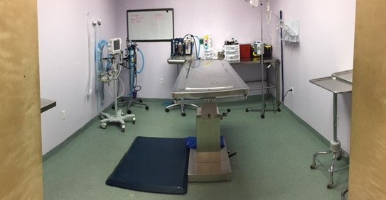 surgical suite