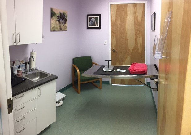 Our Exam Rooms