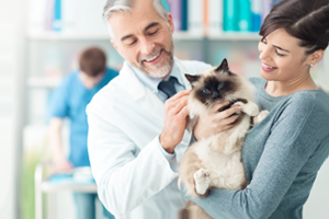 Picture of Vet with cat and owner