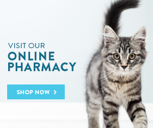 Our Online Pharmacy Banner