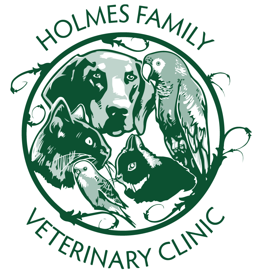 Holmes Family Veterinary Clinic logo
